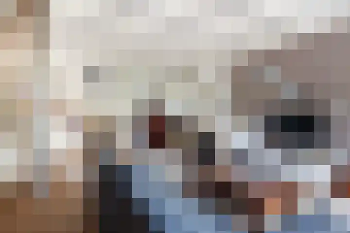 Hoptilsterdyk 4 Hilaard thumbnail 10
