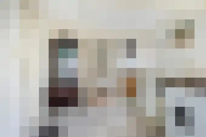 Hoptilsterdyk 4 Hilaard thumbnail 15