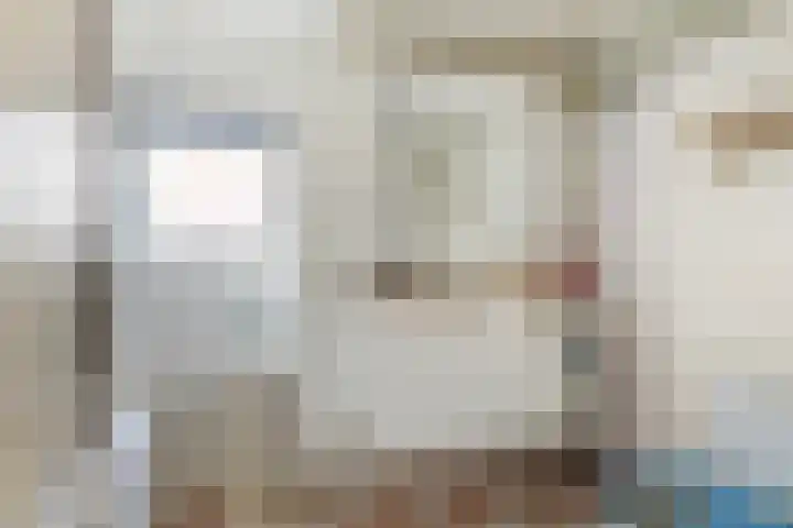 Hoptilsterdyk 4 Hilaard thumbnail 16