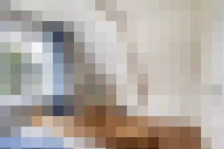 Hoptilsterdyk 4 Hilaard thumbnail 22