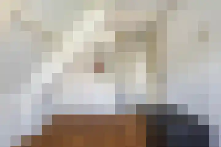 Hoptilsterdyk 4 Hilaard thumbnail 24