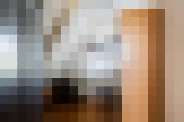 Hoptilsterdyk 4 Hilaard thumbnail 25