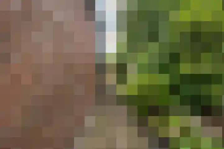 Hoptilsterdyk 4 Hilaard thumbnail 27
