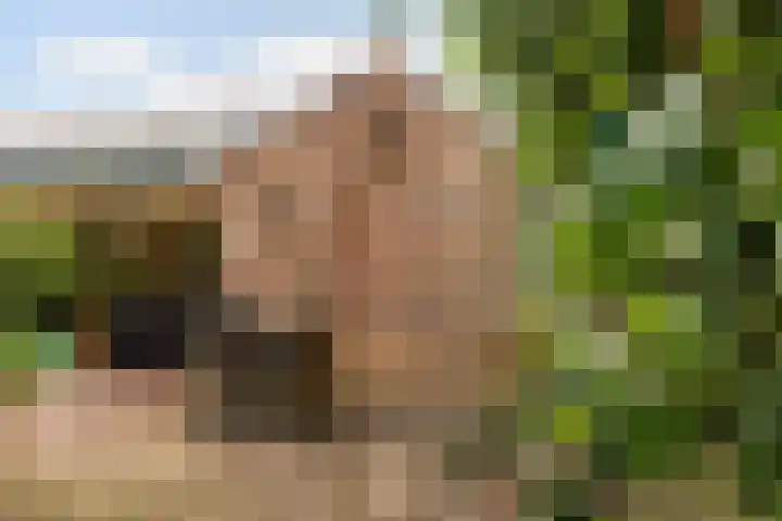 Hoptilsterdyk 4 Hilaard thumbnail 28