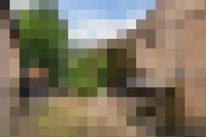 Hoptilsterdyk 4 Hilaard thumbnail 29