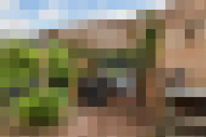 Hoptilsterdyk 4 Hilaard thumbnail 30