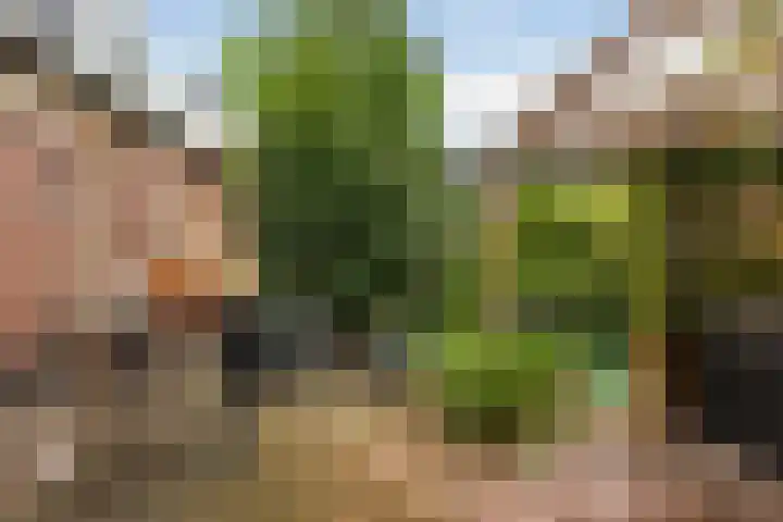 Hoptilsterdyk 4 Hilaard thumbnail 31