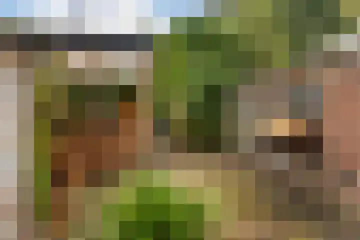 Hoptilsterdyk 4 Hilaard thumbnail 32