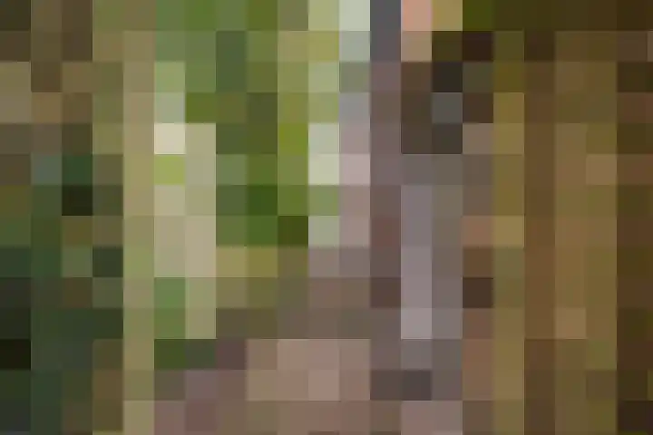 Hoptilsterdyk 4 Hilaard thumbnail 33