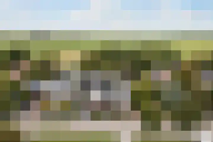 Hoptilsterdyk 4 Hilaard thumbnail 34