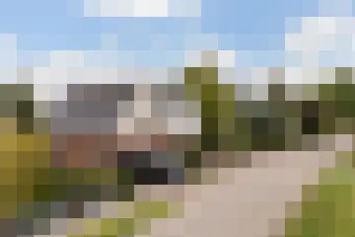 Hoptilsterdyk 4 Hilaard thumbnail 35