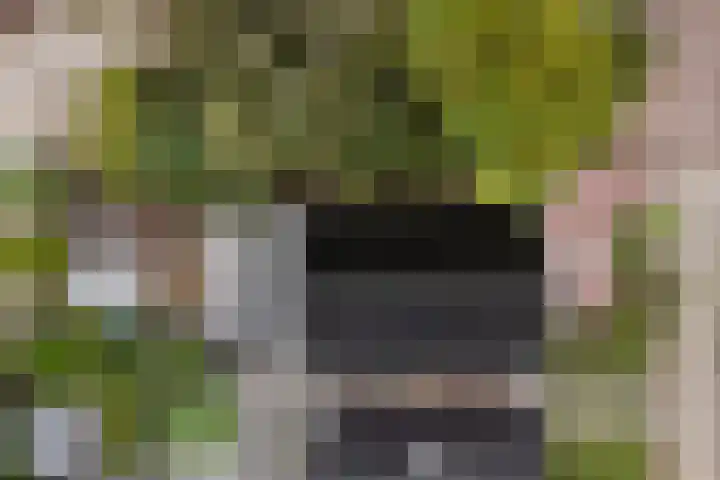 Hoptilsterdyk 4 Hilaard thumbnail 37