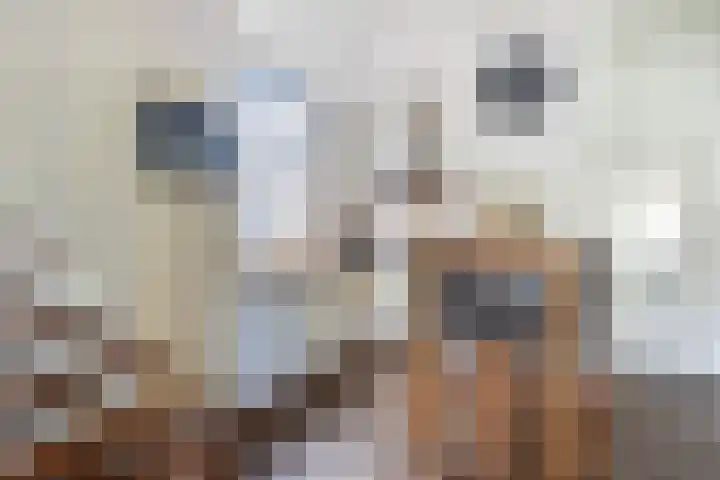 Hoptilsterdyk 4 Hilaard thumbnail 4