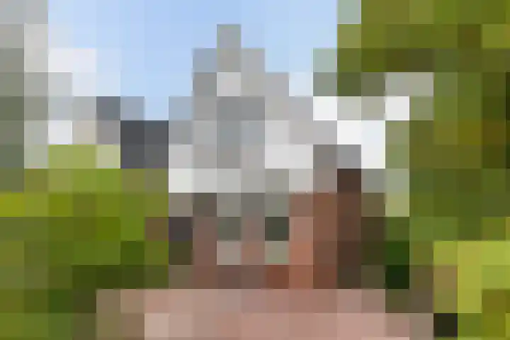 Hoptilsterdyk 4 Hilaard thumbnail 7