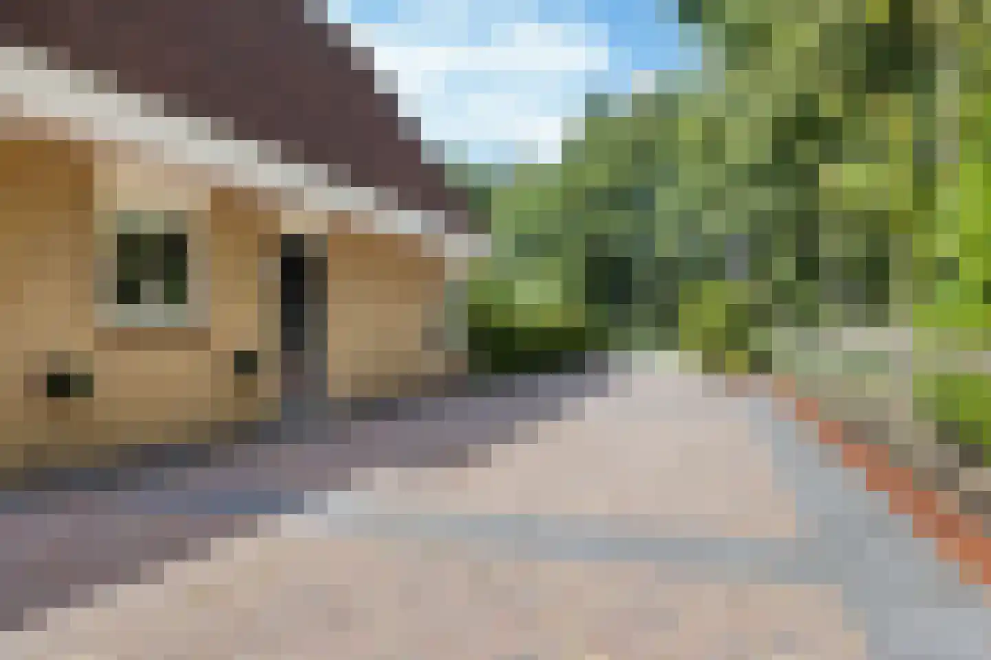 Hoptunen 15 De Wilgen thumbnail 11