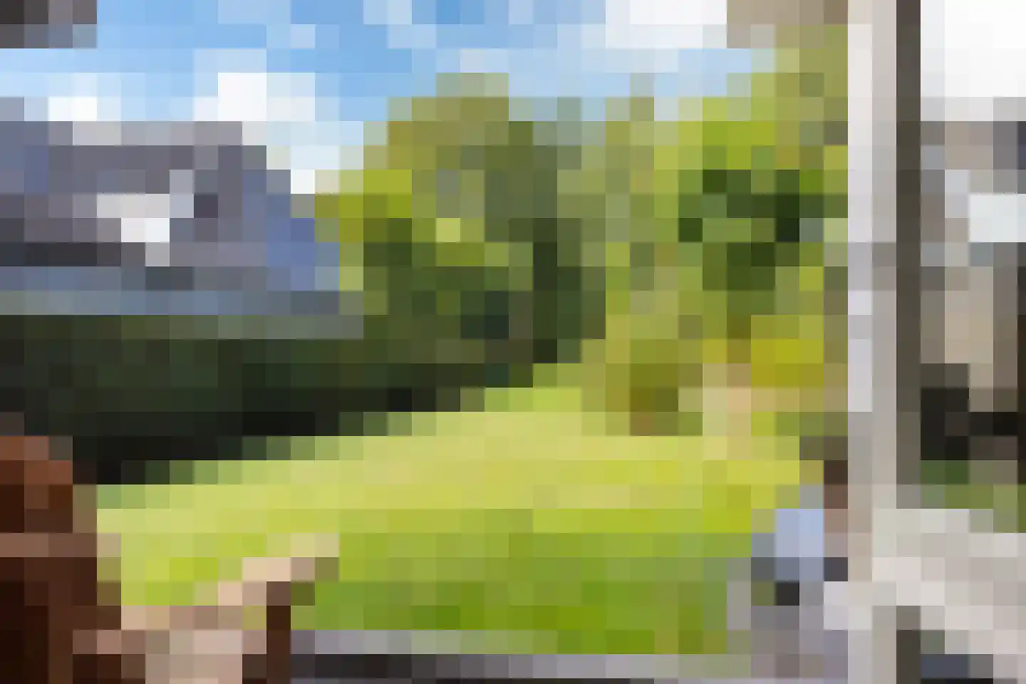 Hoptunen 15 De Wilgen thumbnail 19