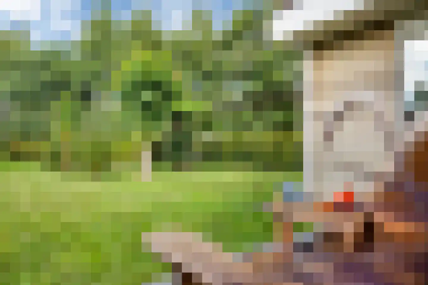 Hoptunen 15 De Wilgen thumbnail 21