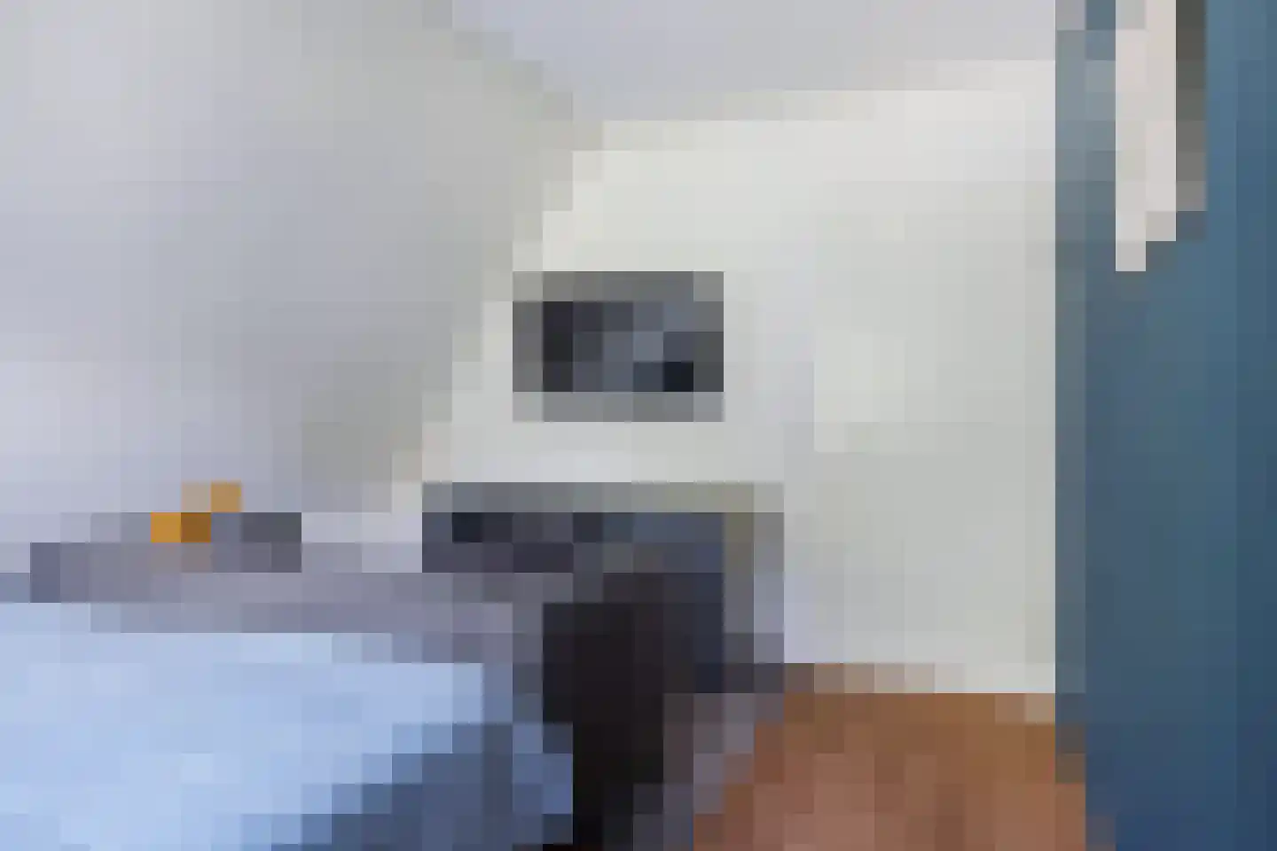 Hoptunen 15 De Wilgen thumbnail 35