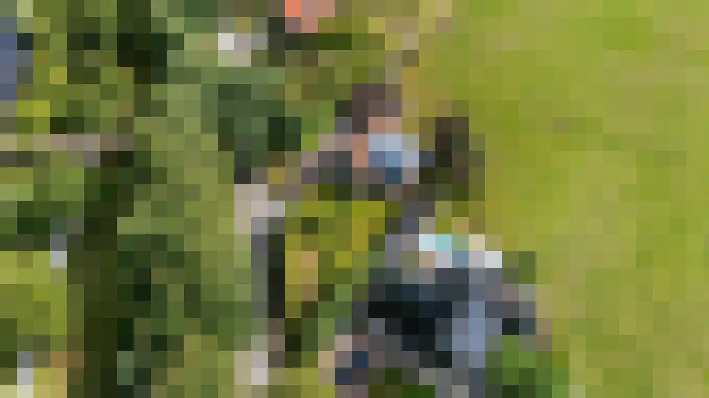 Hoptunen 15 De Wilgen thumbnail 50
