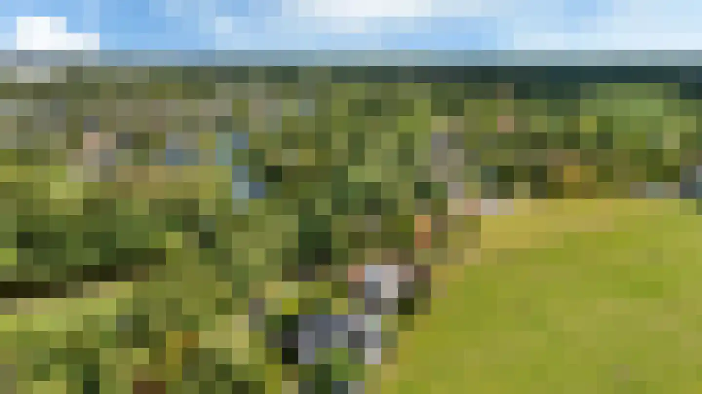 Hoptunen 15 De Wilgen thumbnail 53