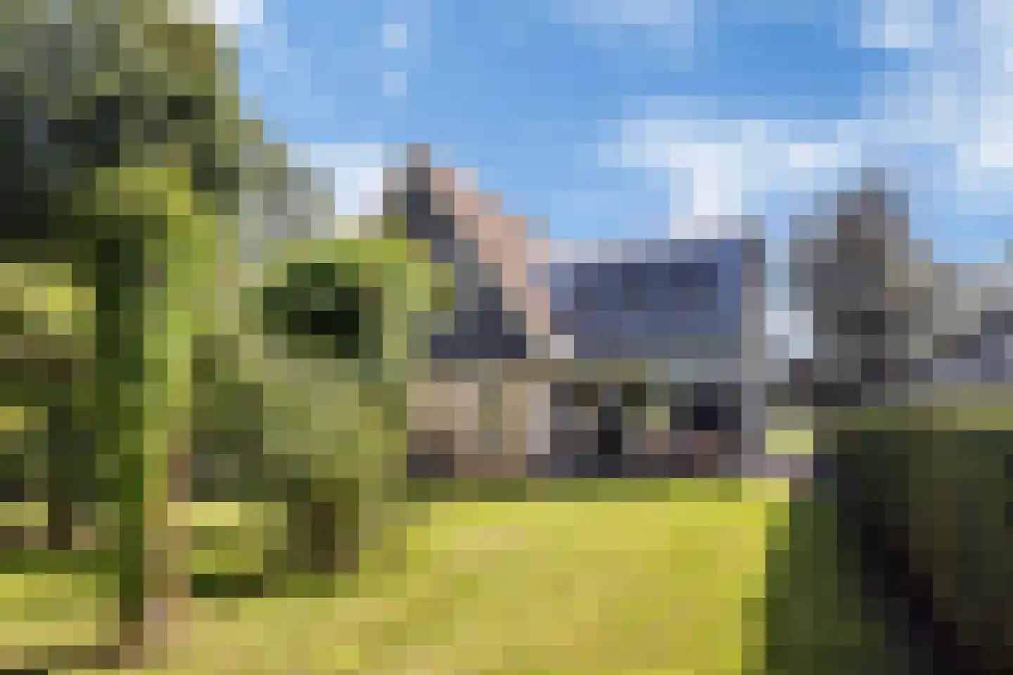 Hoptunen 15 De Wilgen thumbnail 56