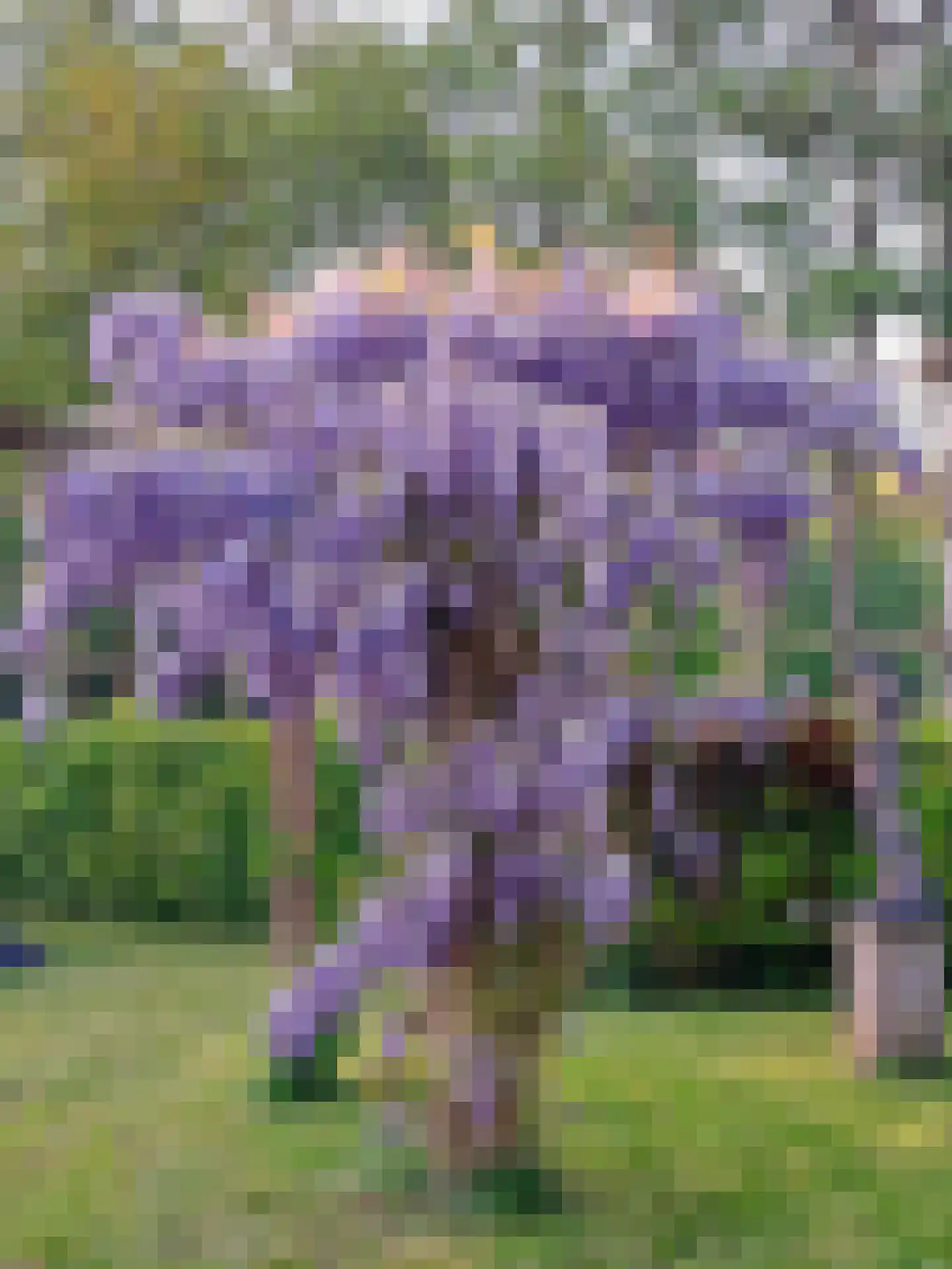 Hoptunen 15 De Wilgen thumbnail 58