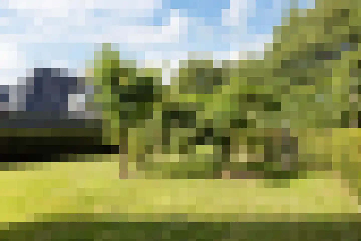 Hoptunen 15 De Wilgen thumbnail 59