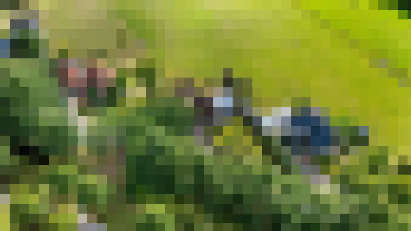 Hoptunen 15 De Wilgen thumbnail 6