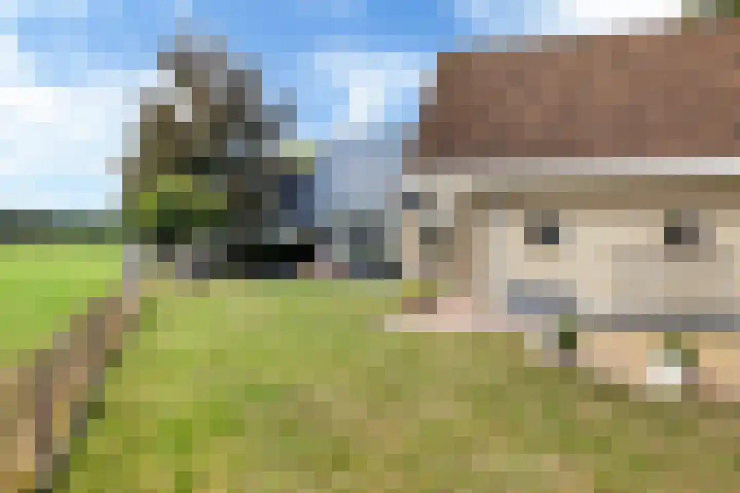 Hoptunen 15 De Wilgen thumbnail 62