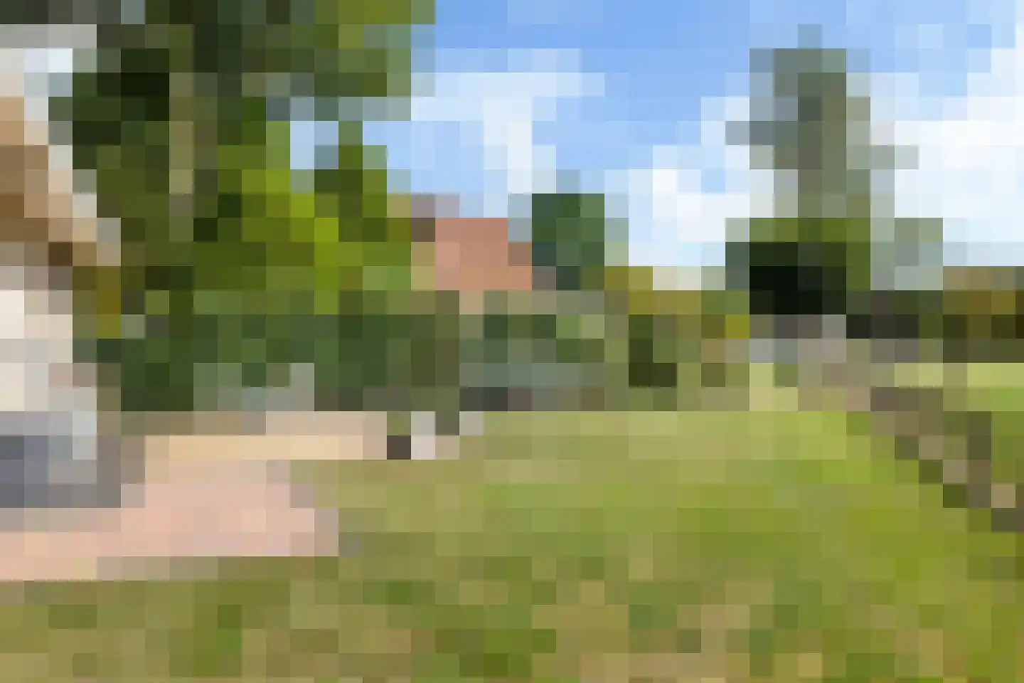 Hoptunen 15 De Wilgen thumbnail 70