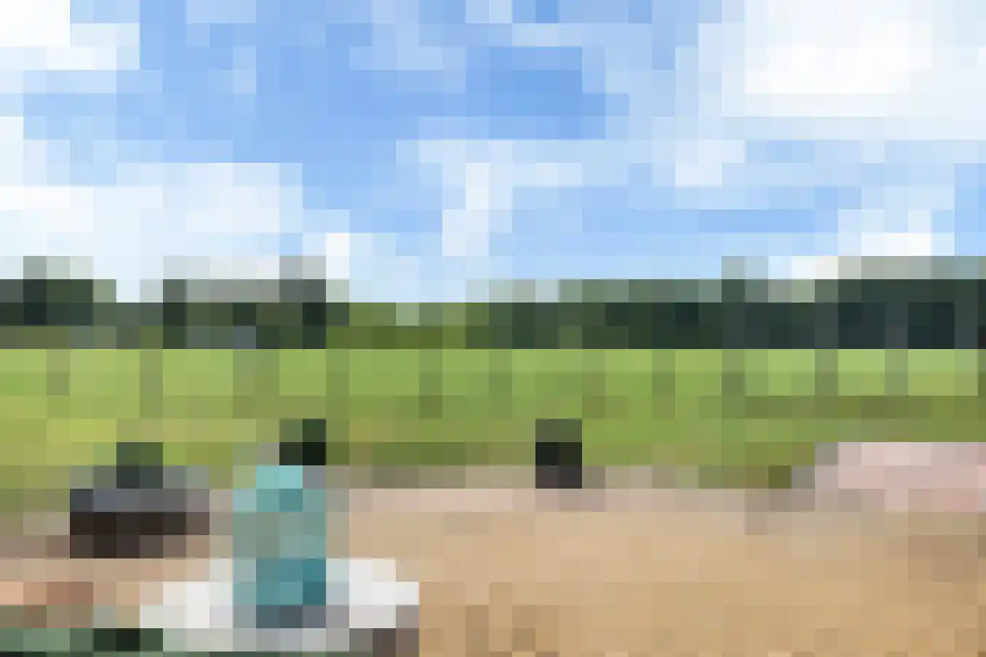 Hoptunen 15 De Wilgen thumbnail 71