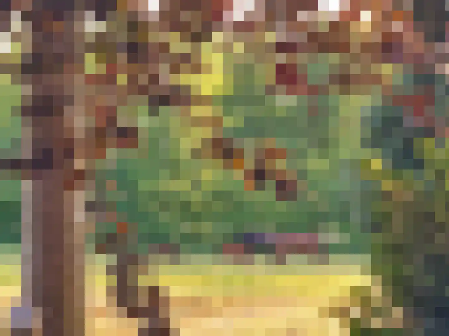 Hoptunen 15 De Wilgen thumbnail 72