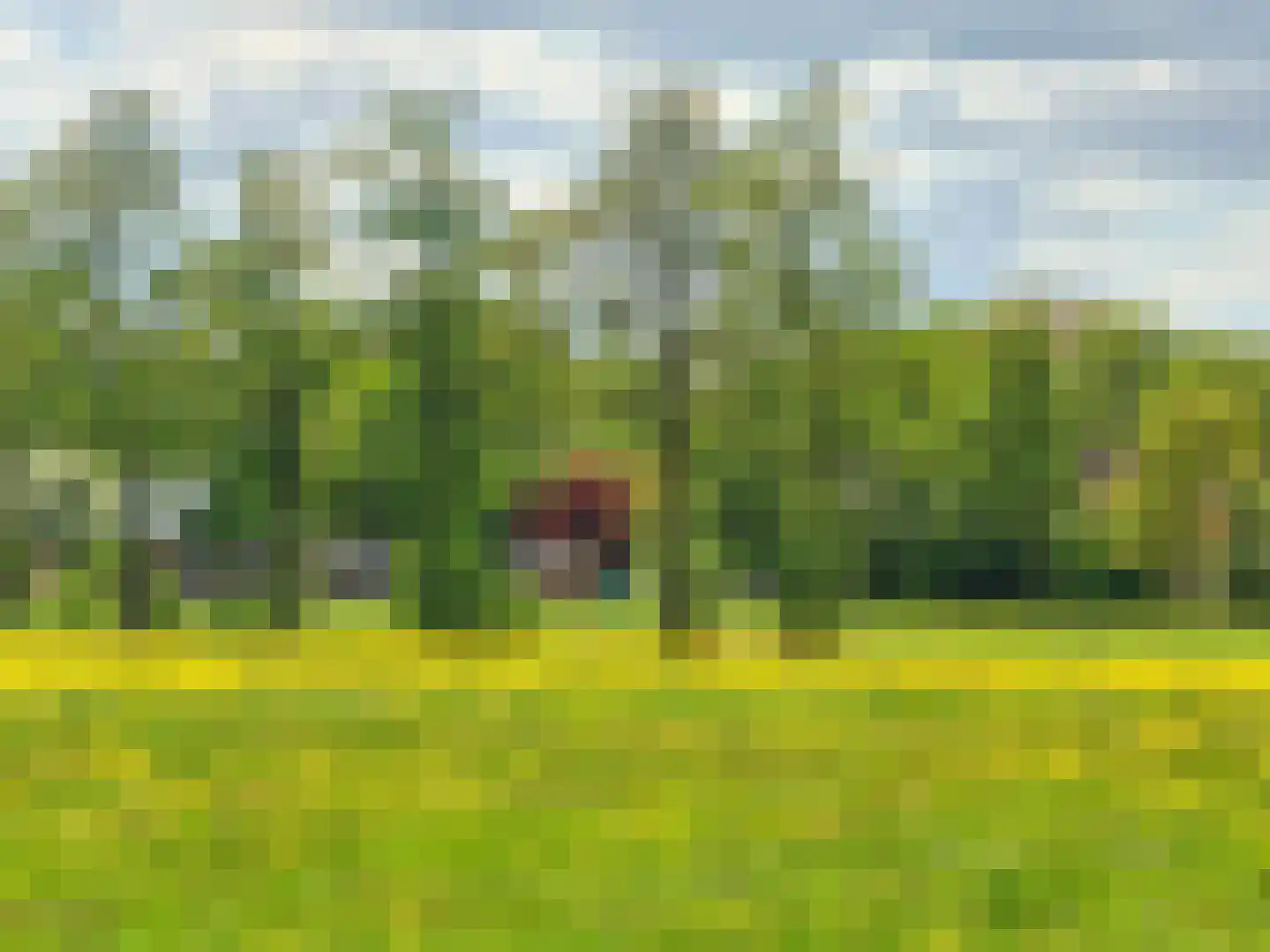 Hoptunen 15 De Wilgen thumbnail 73
