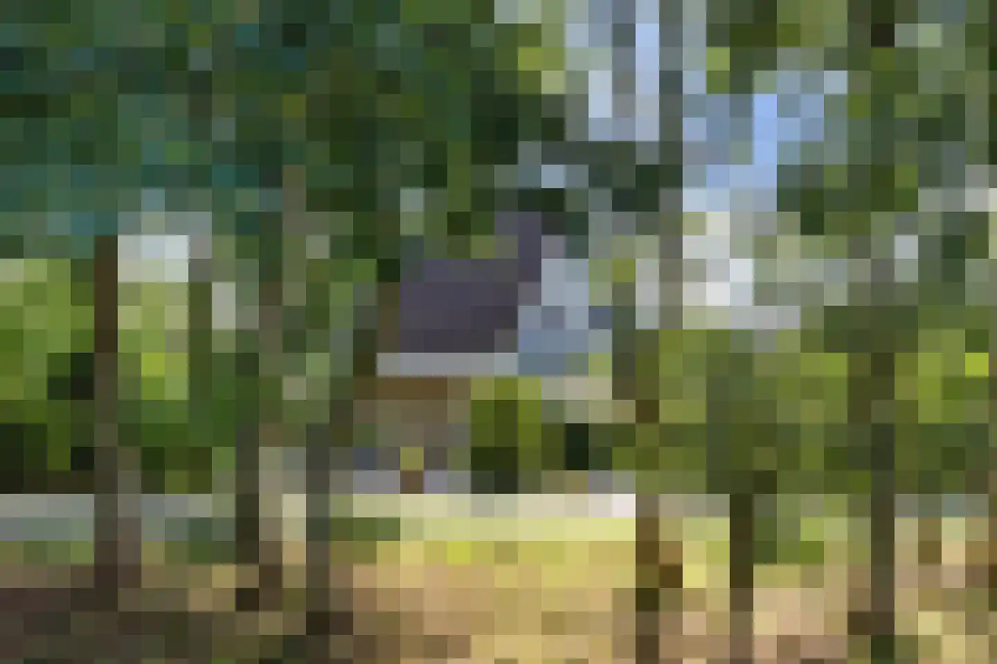 Hoptunen 15 De Wilgen thumbnail 75