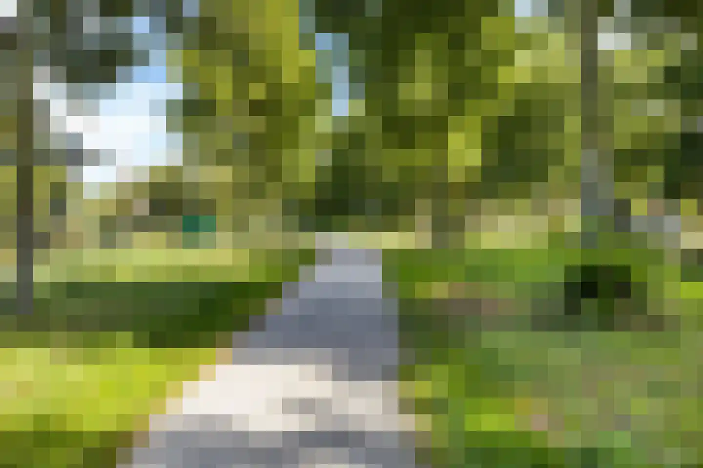 Hoptunen 15 De Wilgen thumbnail 76