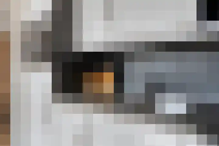 Hopveld 10 Moergestel thumbnail 12