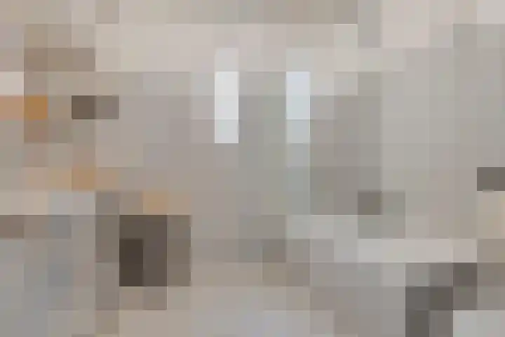Hopveld 10 Moergestel thumbnail 24