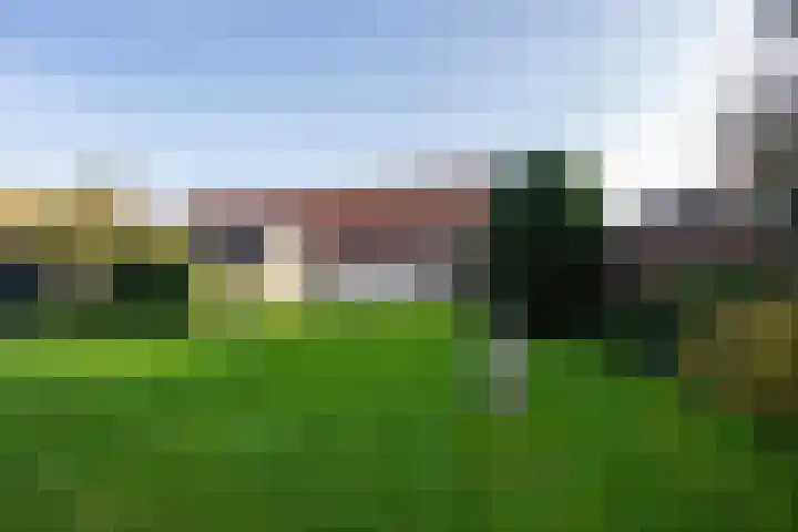 Hopveld 10 Moergestel thumbnail 29
