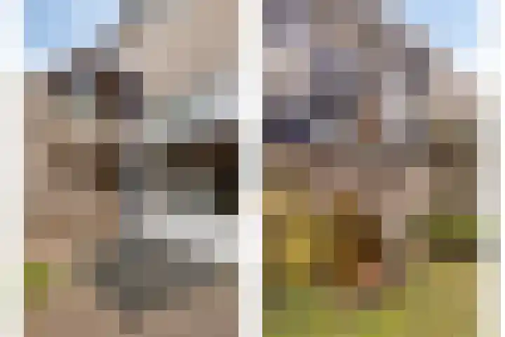 Hopveld 10 Moergestel thumbnail 33