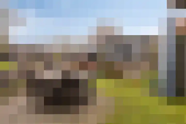 Hopveld 10 Moergestel thumbnail 34