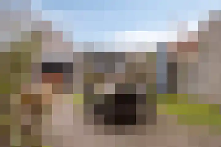 Hopveld 10 Moergestel thumbnail 35