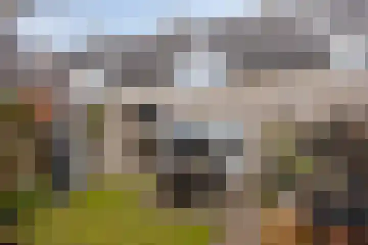 Hopveld 10 Moergestel thumbnail 36