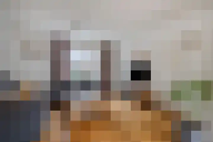 Hopveld 10 Moergestel thumbnail 4