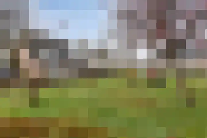 Hopveld 10 Moergestel thumbnail 44