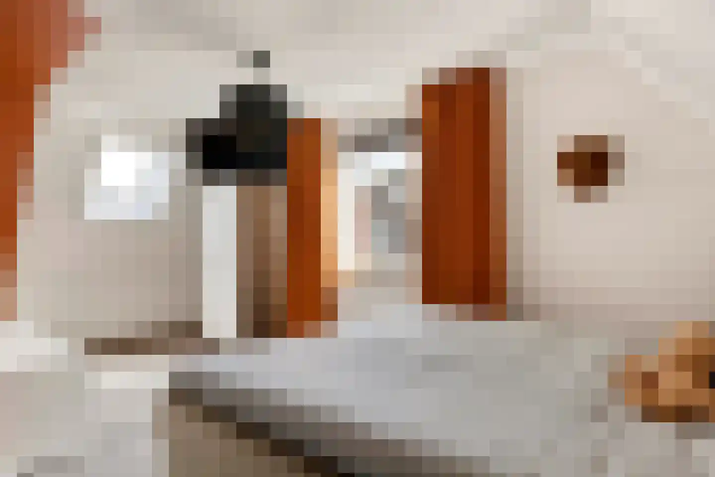 Hopveld 11 Veghel thumbnail 30