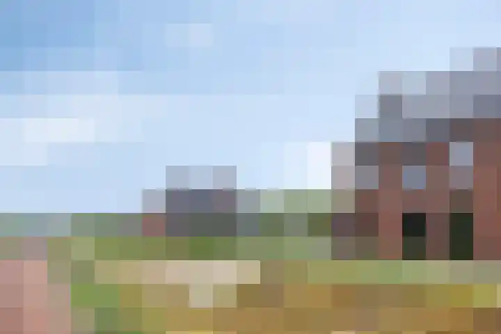 Hopveld 14 Lieshout thumbnail 10