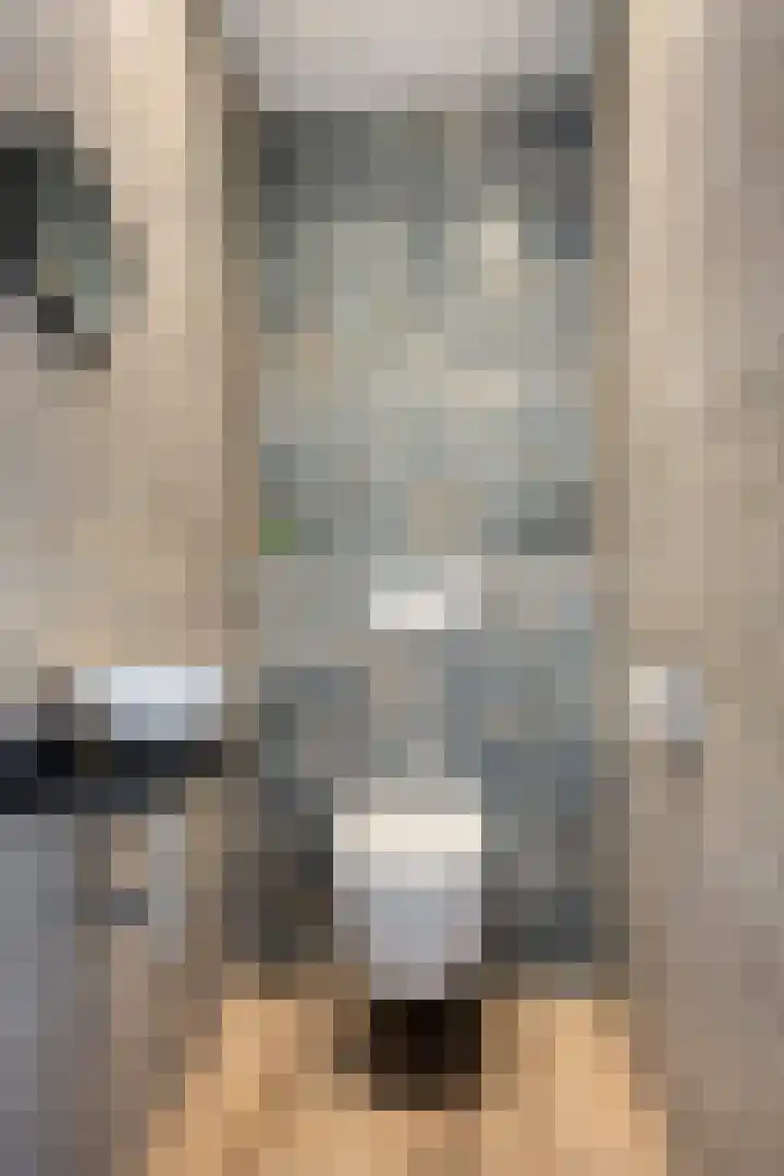Hopveld 14 Lieshout thumbnail 12