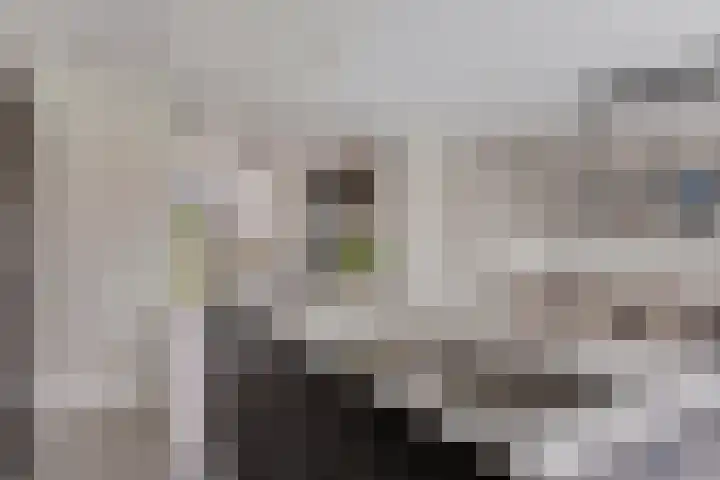 Hopveld 14 Lieshout thumbnail 18