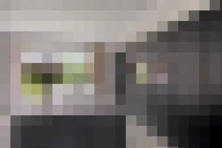Hopveld 14 Lieshout thumbnail 19