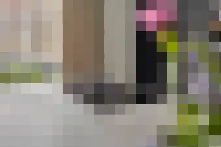 Hopveld 14 Lieshout thumbnail 20